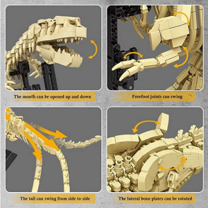 Forange FC6212 Tyrannosaurus Rex Fossil
