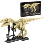 Forange FC6212 Tyrannosaurus Rex Fossil